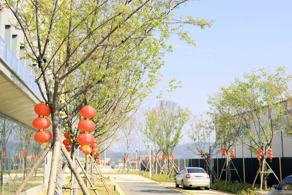 20230417153540384038